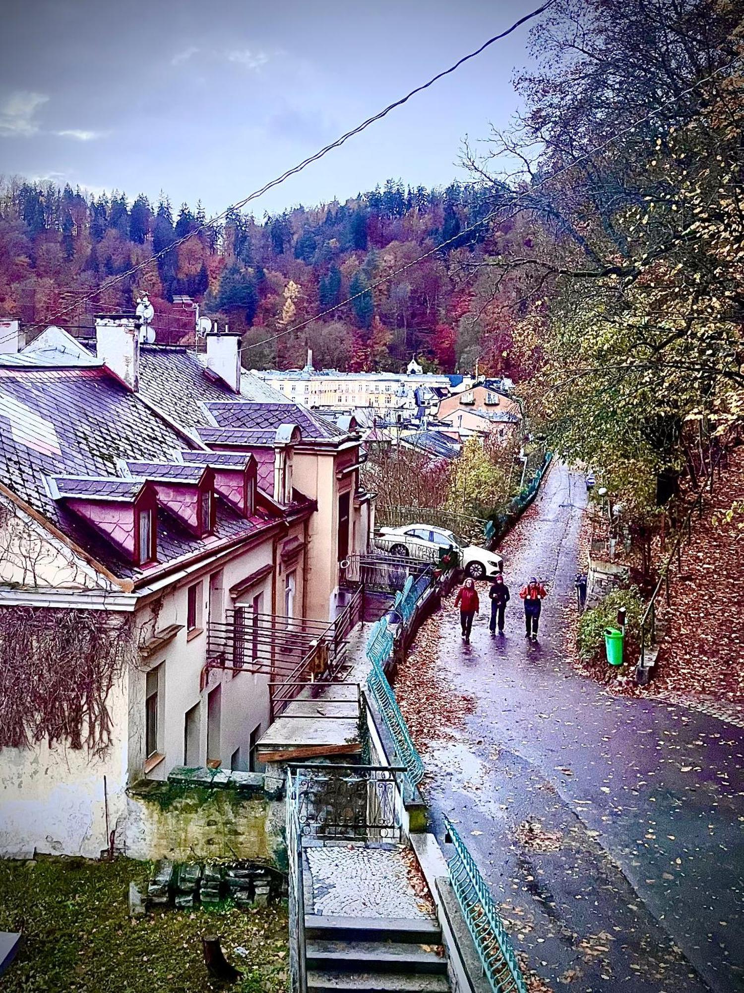 Bohemian City - Amazing View, Garage Karlovy Vary Dış mekan fotoğraf