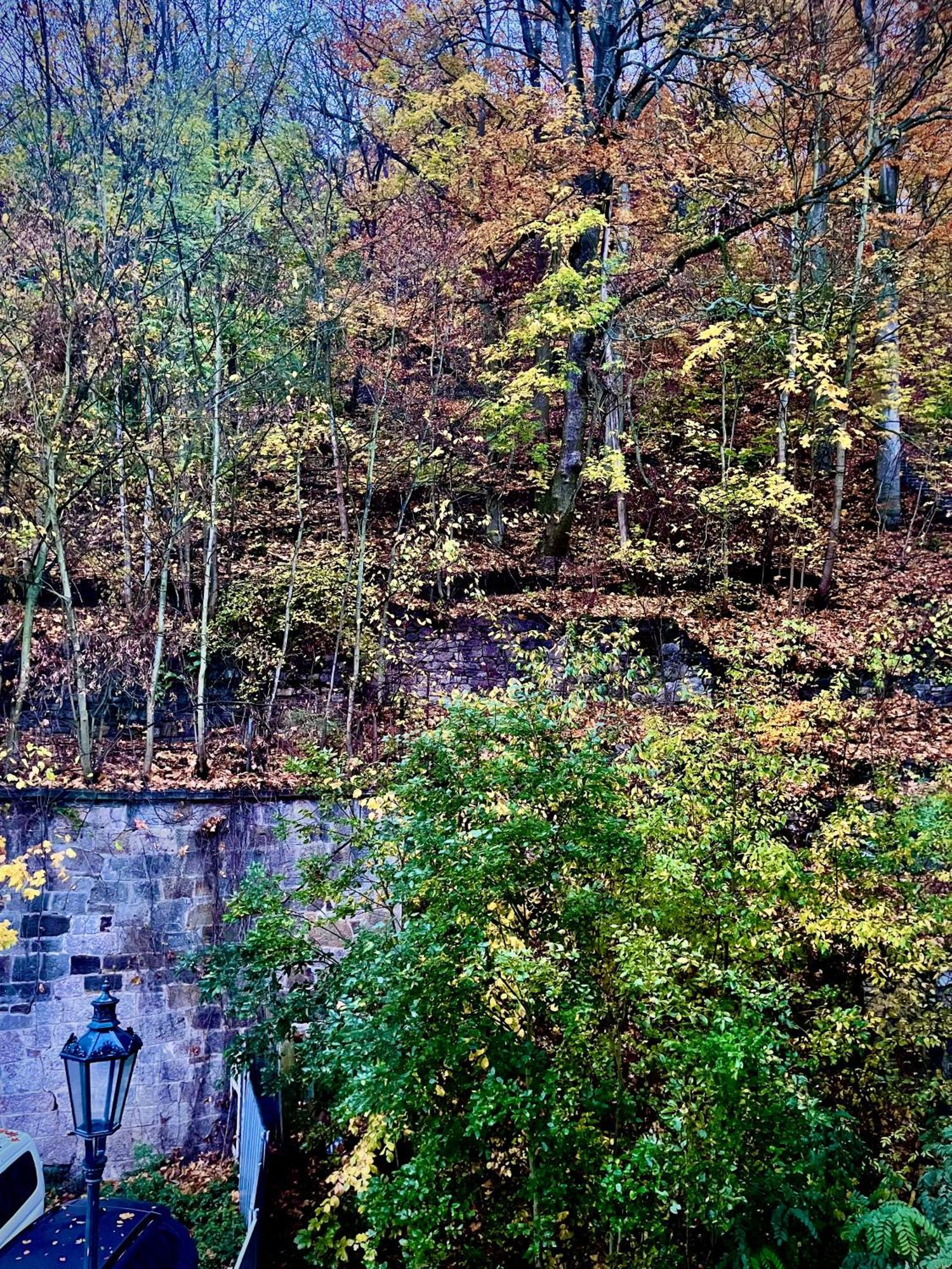 Bohemian City - Amazing View, Garage Karlovy Vary Dış mekan fotoğraf